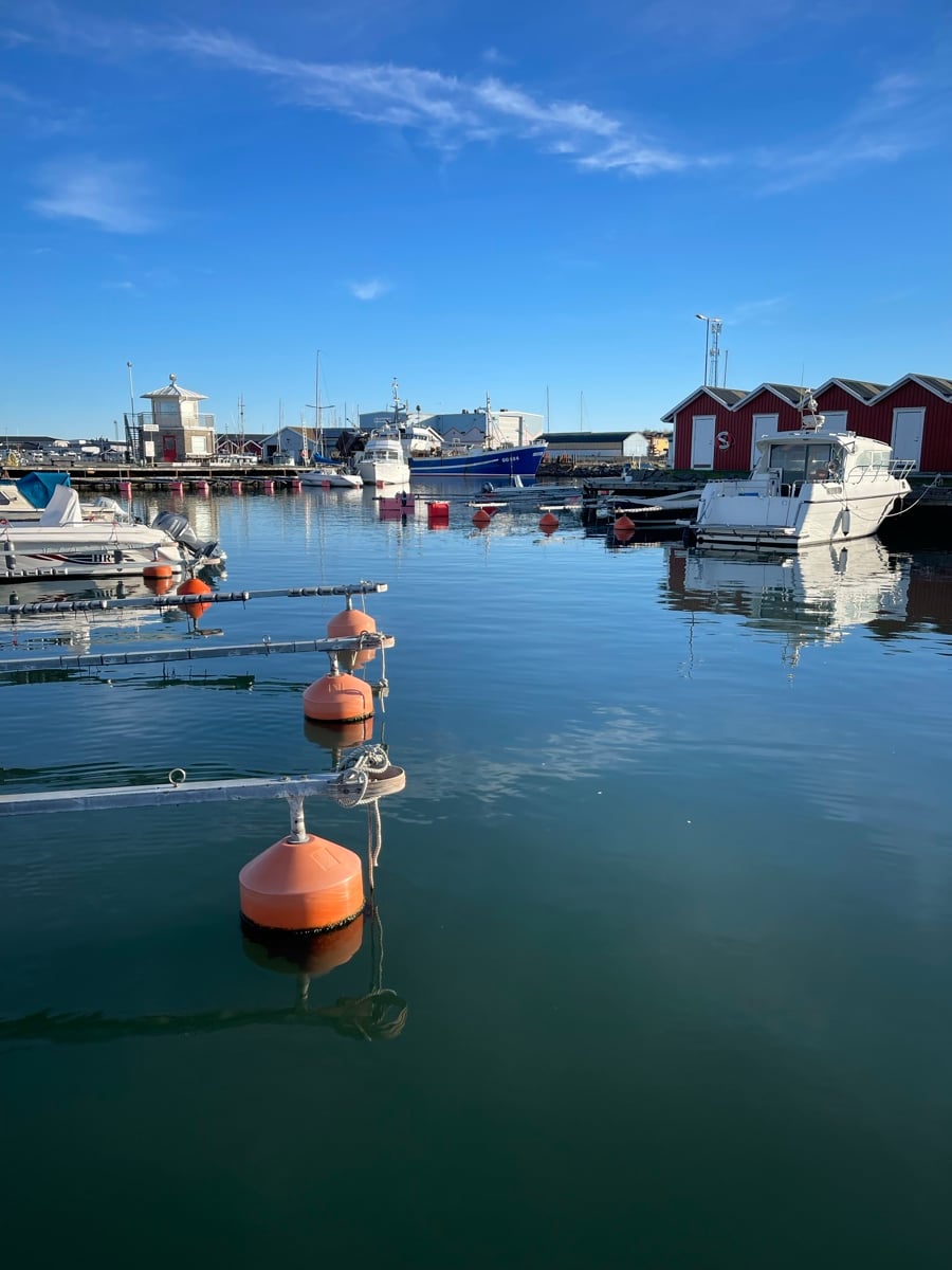 Färsk skaldjursfat med ostron, havskräftor och krabba på en klippa i Bohuslän