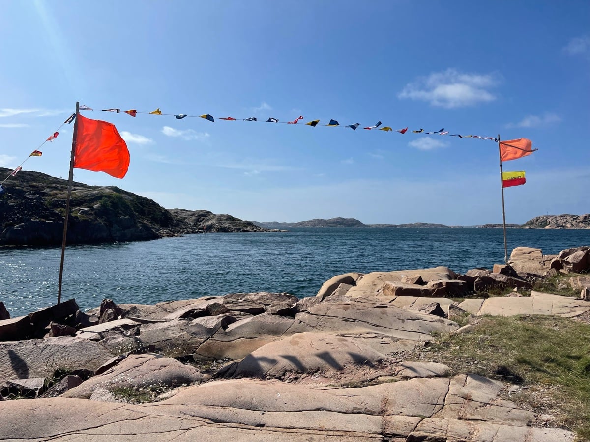 Blommande klippor vid havet i Bohuslän på våren
